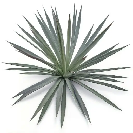 Mezcalómano AI Card Art, Agave Directory and Website, image 6 of 13